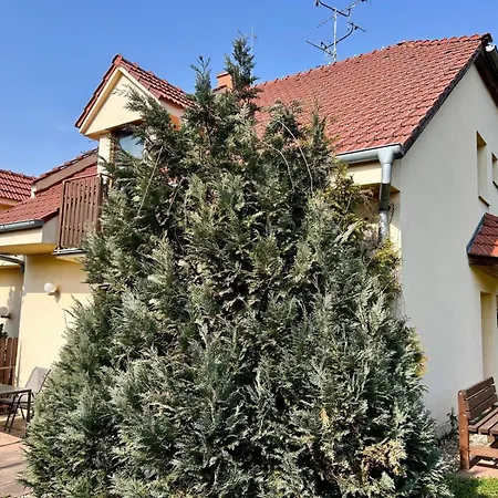 Amfik Микулов